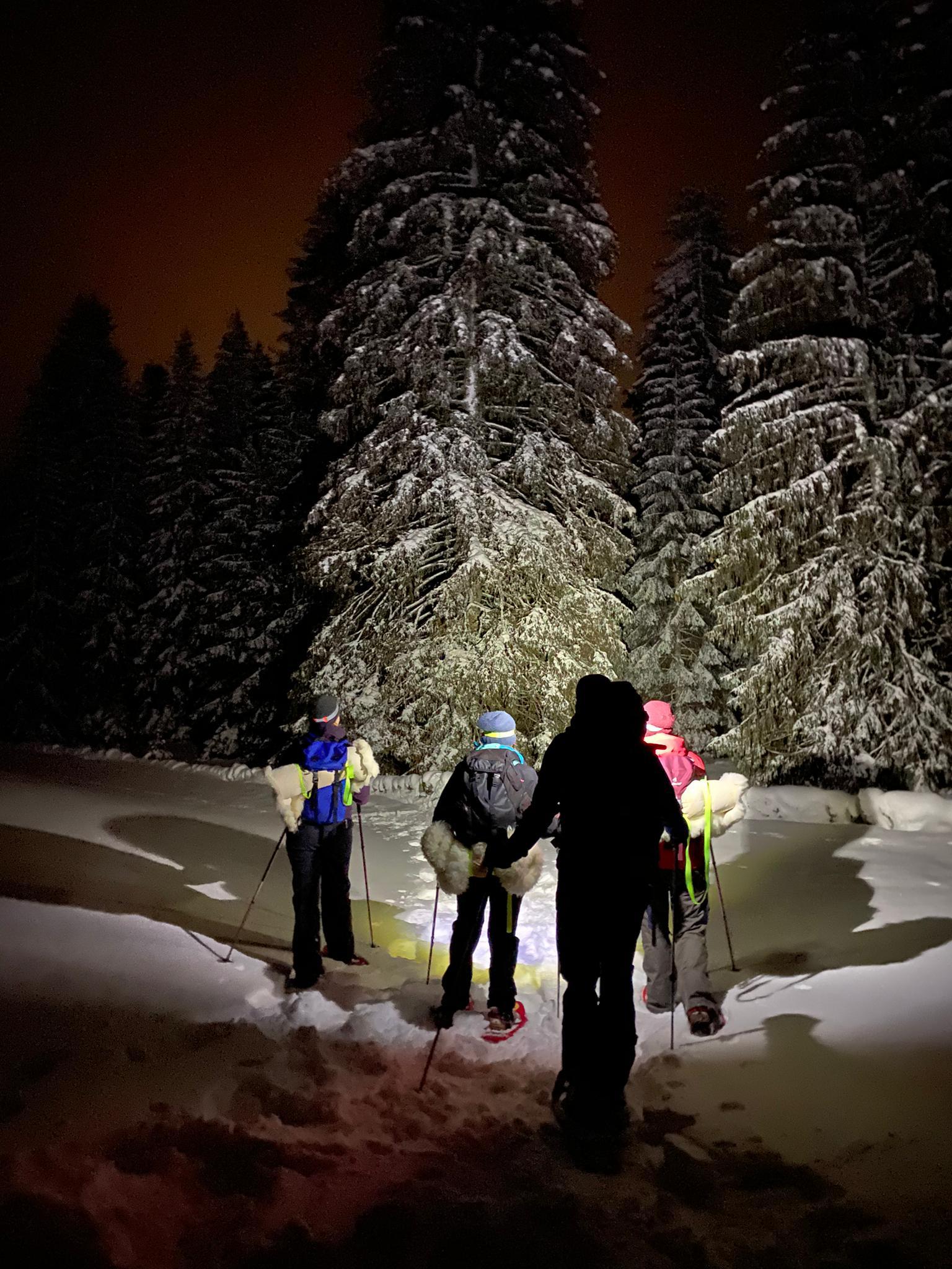 Réinventer la raquette à neige de A à Z